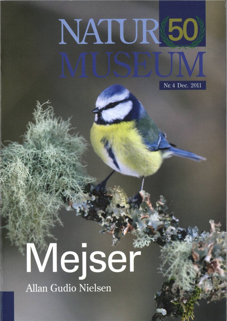 Mejser